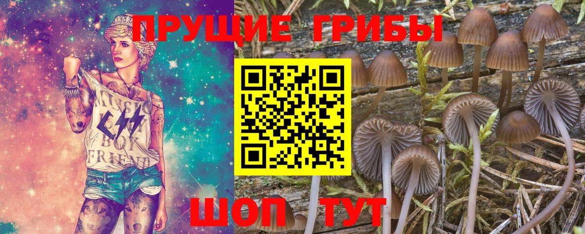 Краснокамск  Псилоцибиновые грибы ЛСД  Вход с VPN 